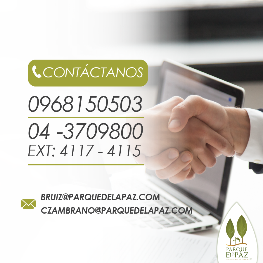 Servicio